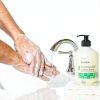 McKesson Antimicrobial Lotion Hand Soap with Aloe 18 oz Herbal Scent-7